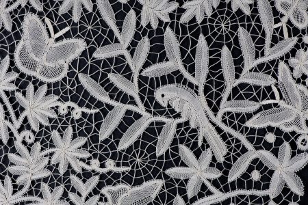 cipka_macro_22_30072023_photo&copyright by godar